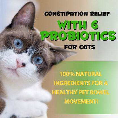Cat Constipation Relief, Natural Drops with 6 Probiotics to Help Digestion, Cats Constipation Supports, Relief Constipation for Cat - 2 Fl Oz