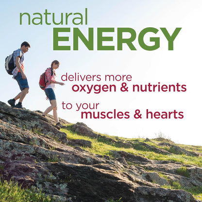 Bountiful Beets Gummies, Circulation Superfood, Promotes Energy and Endurance, Nitric Oxide Booster, 30 Servings, White, 60 Count