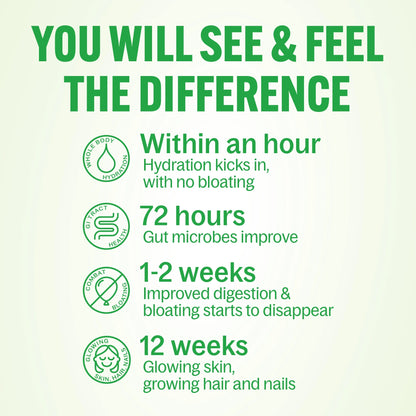 Daily Fiber Supplement with Probiotics, Electrolytes, and Collagen - Watermelon, 6.4 Oz