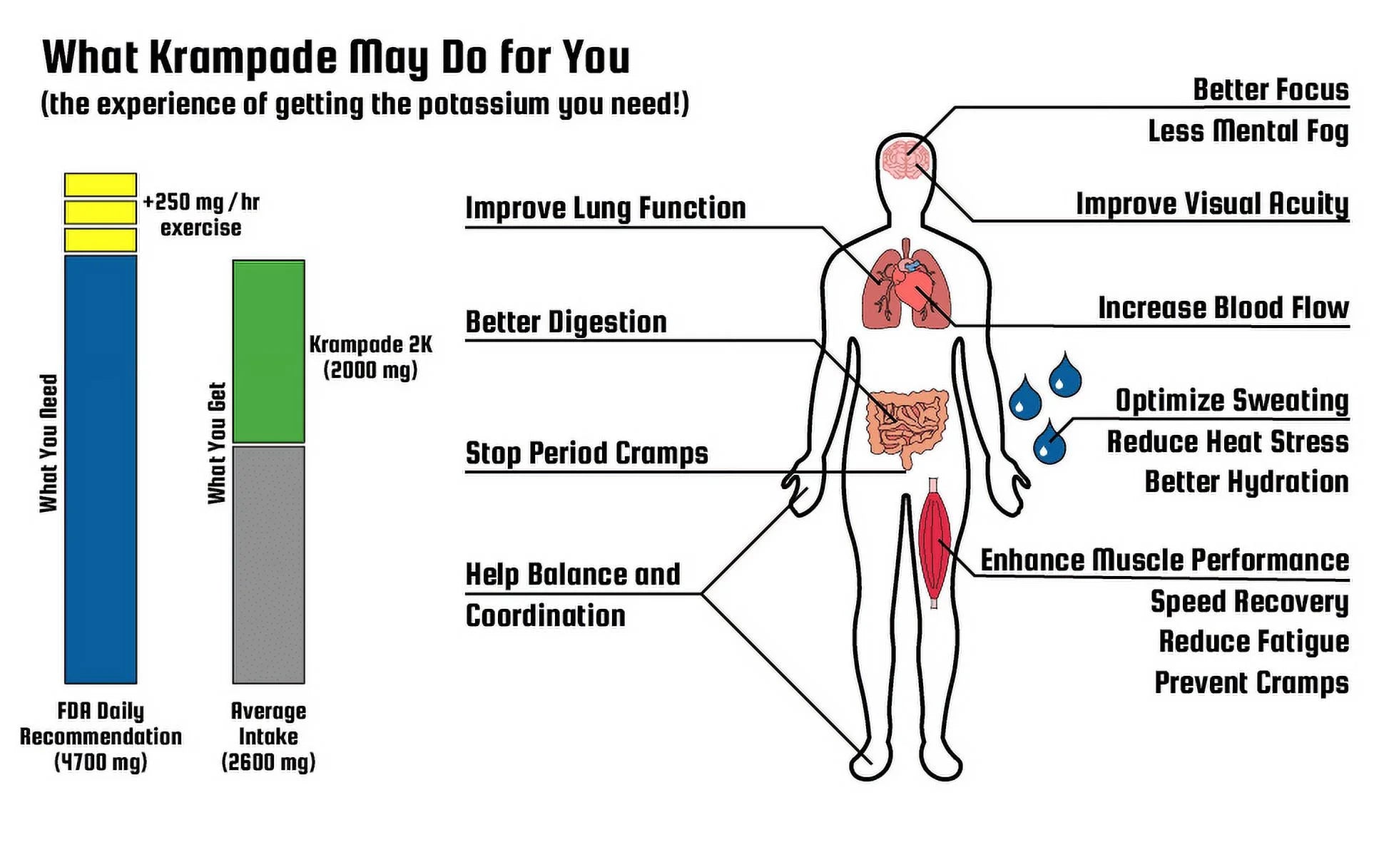Fiber Supplement Electrolyte Powder-9G Prebiotic Fiber+2000Mg Potassium + Magnesium Supplement | Cramp Relief, Hydration, Digestive Support | Lemon Lime, 16 Single Serving Packets