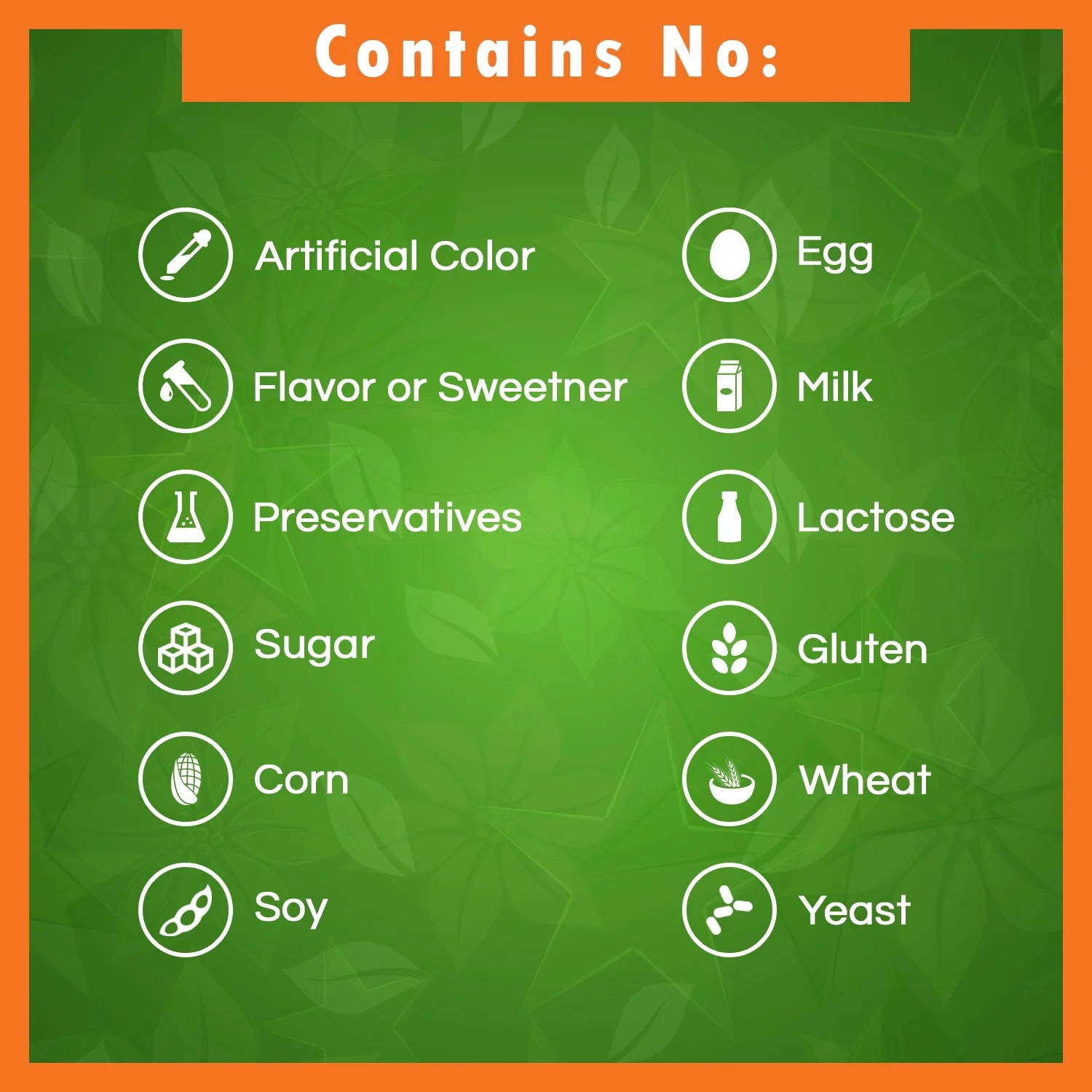 2 Pack  Elderberry Sambucus Nigra 5000Mg Equivalent 120 Vegetarian Capsules