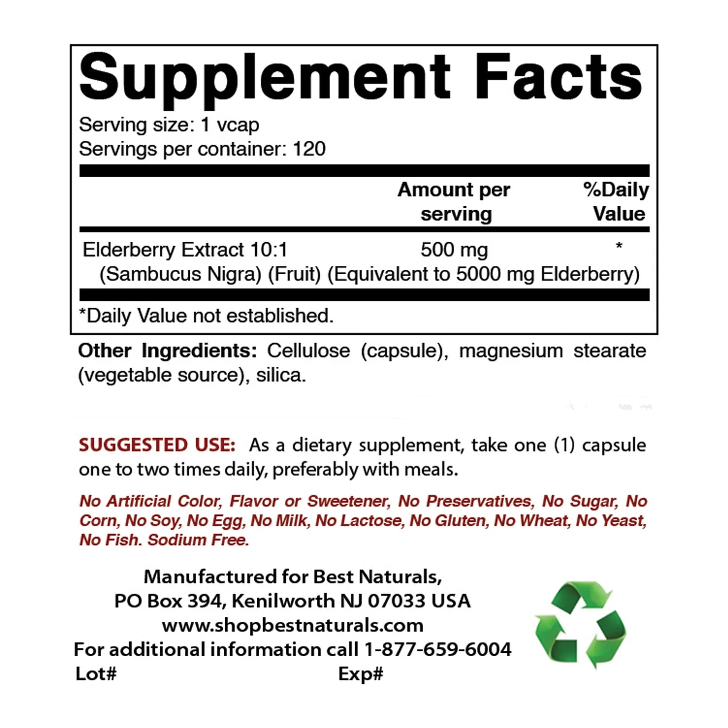 2 Pack  Elderberry Sambucus Nigra 5000Mg Equivalent 120 Vegetarian Capsules