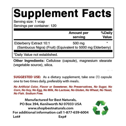 2 Pack  Elderberry Sambucus Nigra 5000Mg Equivalent 120 Vegetarian Capsules