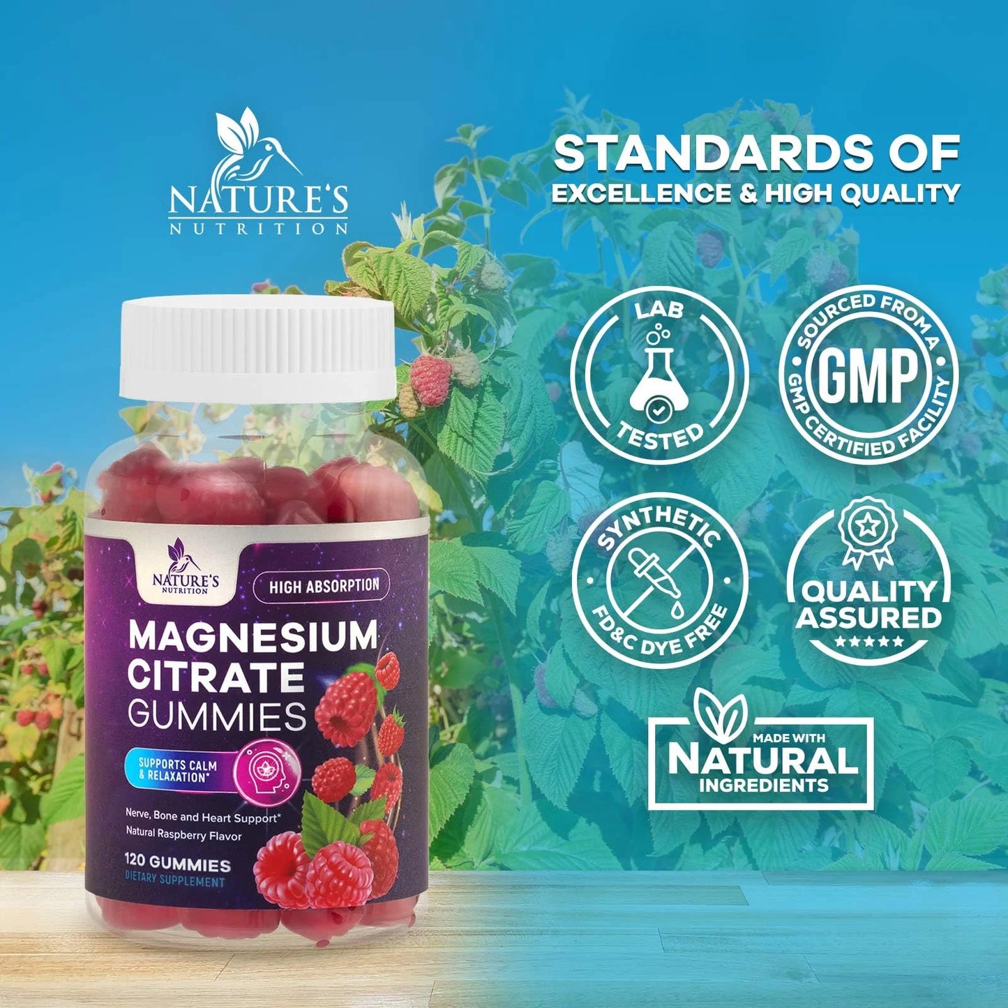Magnesium Citrate Gummy Supplement, Improved Vegan Formula - High Absorption Magnesium Gummies for Adults & Kids - Mag Citrate Gummy Supplements - Delicious Raspberry Pomegranate Flavor - 120 Gummies