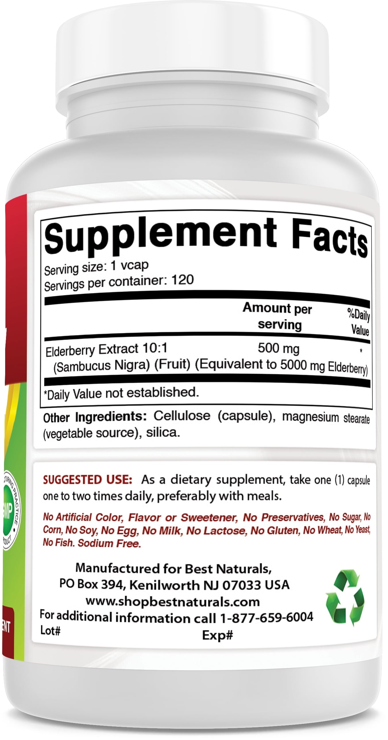 2 Pack  Elderberry Sambucus Nigra 5000Mg Equivalent 120 Vegetarian Capsules